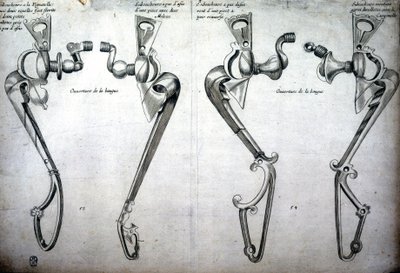 Tekening van paardenbitten door Unknown artist