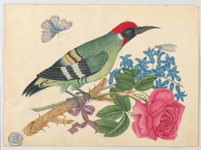 Europese groene specht op tak met roos en vergeet-mij-nietjes door Unknown artist