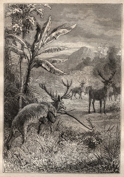 Expeditie rond de wereld (1785-1788) door Jean Francois Galaup de La Perouse (1741-1788): jachttechniek van de Indianen van de Baai van Monterey (Californië) - illustratie uit 