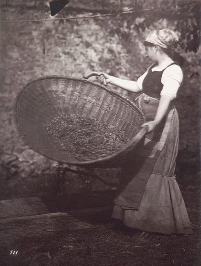 [Vrouwelijke boerin met maaimand]. door Unknown artist
