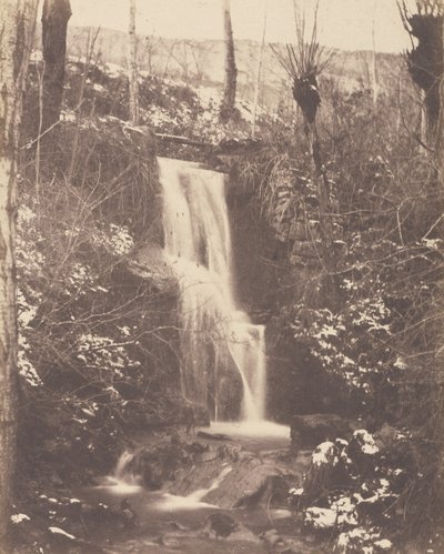[Boslandschap met waterval en stroom]. door Unknown artist