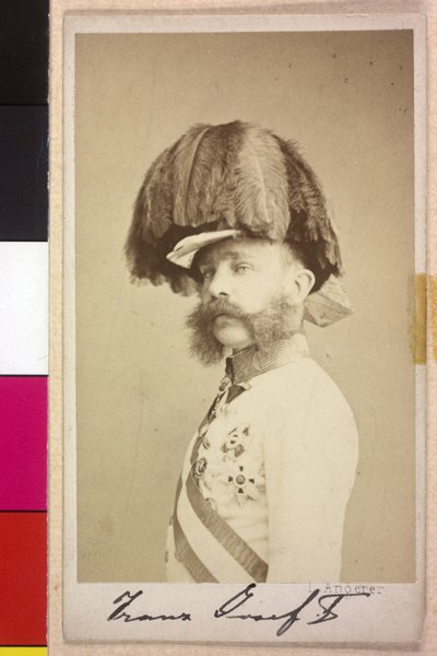 Franz Joseph I door Unknown artist