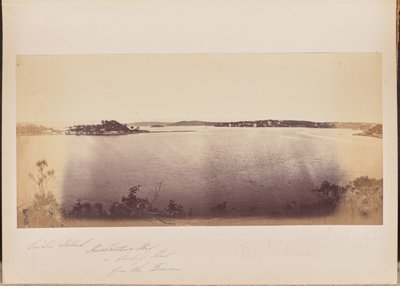 Garden Island, Rushcutters Bay en Darling Point vanaf het domein door Unknown artist