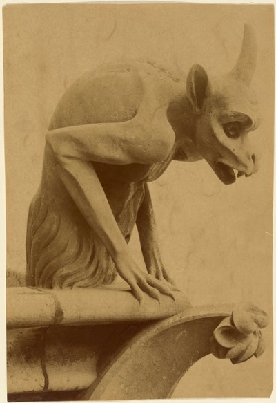 [Waterspuwer, Notre-Dame]. door Unknown artist