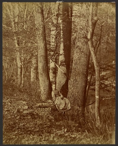 [Meisje zittend tussen bomen] door Unknown artist
