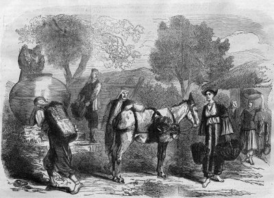 Druivenoogst op Cyprus - Gravure uit 