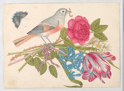 Grijze en koraalvogel op boeket met roos, tulp, madeliefjes en vergeet-mij-nietjes, met vlinder door Unknown artist