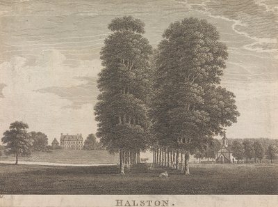 Halston; pagina 22 (Volume Twee) door Unknown artist