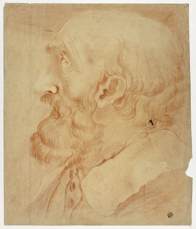 Hoofd van man met baard in profiel door Unknown artist