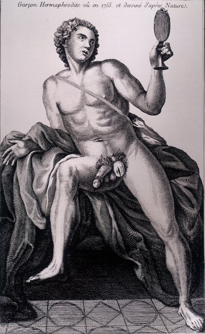 Hermafrodiete jongen gezien in 1755 en getekend naar de natuur door Unknown artist