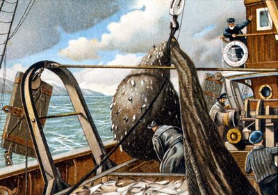 Haringvisserij: het net ophalen op de boot. Eind 19e eeuw. door Unknown artist