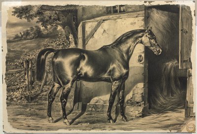 Paard voor een schuur (verso) door Unknown artist