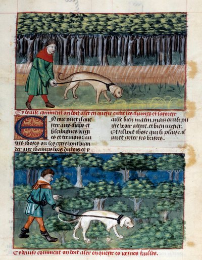 Hoe honden te leiden door Unknown artist