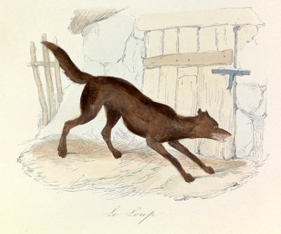 Illustratie uit het boek "Complete Works of Buffon": Les animaux: Le loup (gravure) door Unknown artist