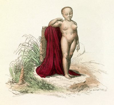 Illustratie uit het boek "Complete Works of Buffon": Natuurlijke geschiedenis van de mens: Witte negerin (gravure) door Unknown artist
