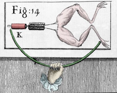 Illustratie van experimenten door Luigi Galvani, Italiaanse natuurkundige en arts (1737 - 1798) die de doorgang van elektrische stroom door de benen van een kikker uitlegt. door Unknown artist