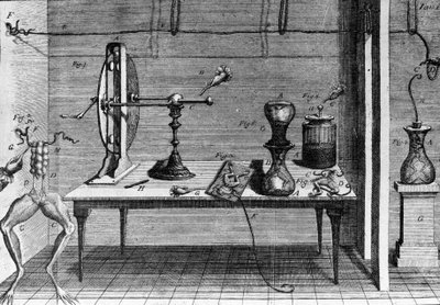 Illustratie van experimenten door Luigi Galvani, Italiaanse natuurkundige en arts (1737 - 1798) die de doorgang van elektrische stroom uitlegt die de poten van een kikker beweegt. door Unknown artist