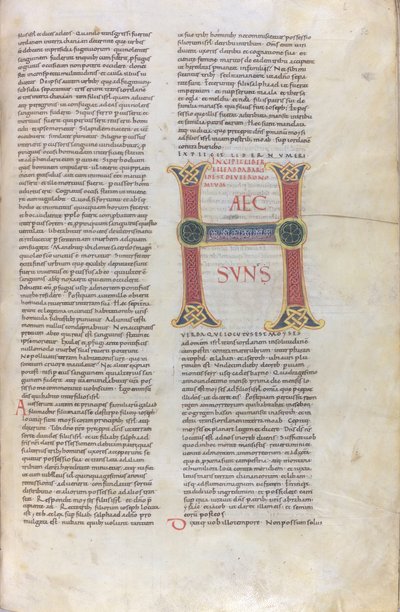 Incipit van het Boek Deuteronomium, Capulettera met de inscriptie Haec zon, 11e eeuw (miniatuur, vliezig handschrift) door Unknown artist