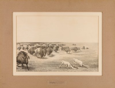 Indianen vermomd als wolven - nr. 13 door Unknown artist