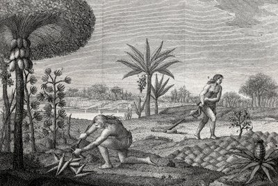 Inheemsen bewerken het land in het Orenoque-bekken van Colombia. Gravure 1780 door Unknown artist