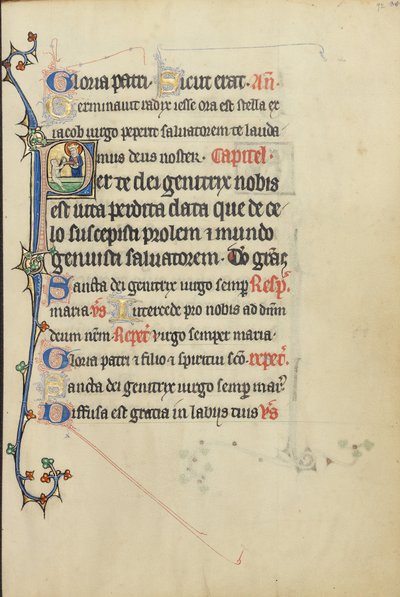 Beginletter P: De Maagd Maria die de hand neemt van een persoon die uit de dood is opgewekt door Unknown artist
