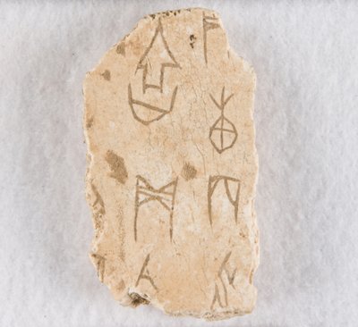 Ingesneden Botfragment ("orakelbot") door Unknown artist
