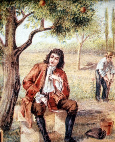 Isaac Newton (1642-1727), Engelse wiskundige, natuurkundige en astronoom, ontdekt de zwaartekrachttheorie door het vallen van een appel te observeren, een illustratie van de 19e eeuw. door Unknown artist