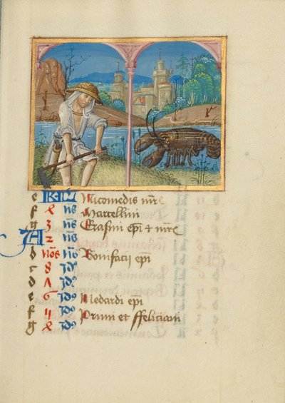 Kalenderpagina juni; Maaien; Kanker door Unknown artist