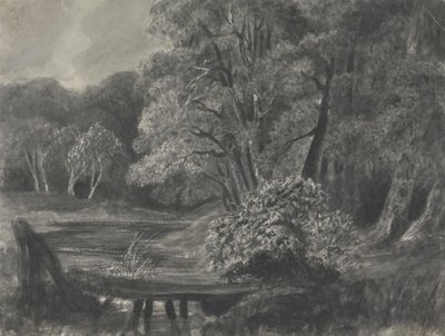 Landschap met vijver door Unknown artist