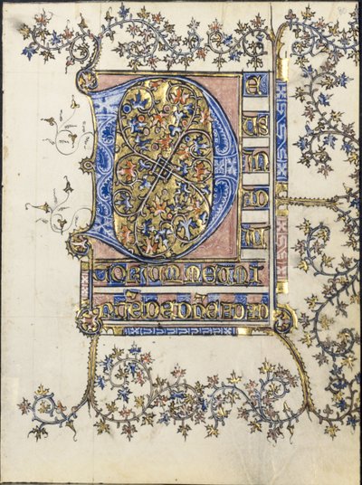 Blad uit een getijdenboek: Initiaal D door Unknown artist