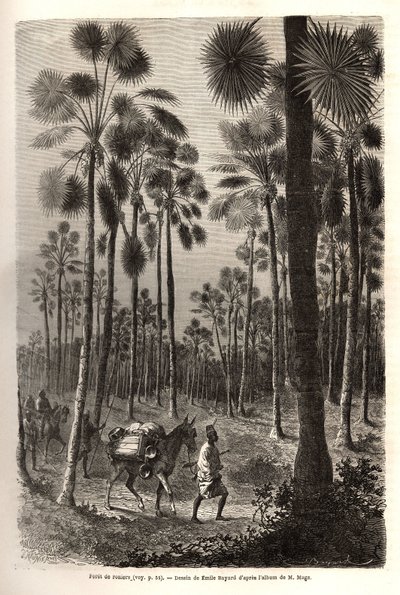 De karavaan van luitenant Mage vordert richting Niger en doorkruist een bos van gigantische palmbomen in de provincie Damfa, Mali. Gravure ter illustratie van de reis naar West-Soedan van luitenant (marine) M. Mage, in 1863-1866, gepubliceerd in 