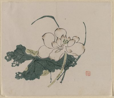 Lotusbloem door Unknown artist