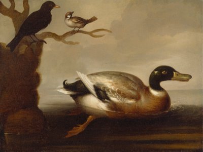 Wilde eend en andere vogels door Unknown artist