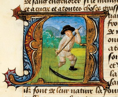 Geneeskunde: een boer die het graan maait. Miniatuur uit het Verhandeling over Geneeskunde door Aldebrande de Florence (Aldebrando) door Unknown artist