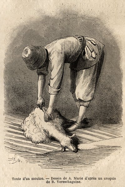 Scheren van een schaap door een jonge Tataarse man, in Schusha (Transkaukasië, Rusland). Gravure ter illustratie van de reis in de provincies van de Kaukasus, door Basile Vereschaguine, in 1864-1865, gepubliceerd in 