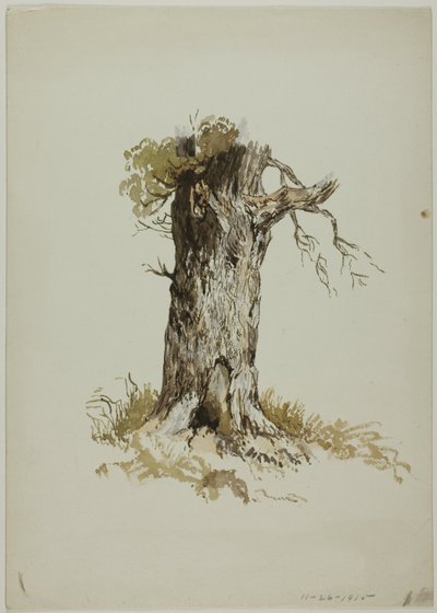 Oude boomstam (recto); Oude boomstam (verso) door Unknown artist