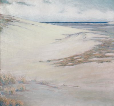 Over de duinen, Cape Cod, Massachusetts door Unknown artist