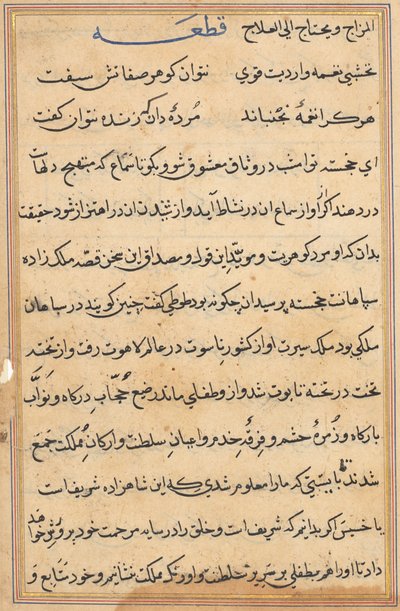 Pagina uit Verhalen van een Papegaai (Tuti-nama): tekstpagina door Unknown artist