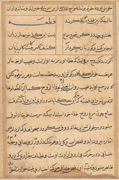 Pagina uit Verhalen van een Papegaai (Tuti-nama): tekstpagina door Unknown artist