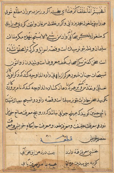 Pagina uit Verhalen van een Papegaai (Tuti-nama): tekstpagina door Unknown artist