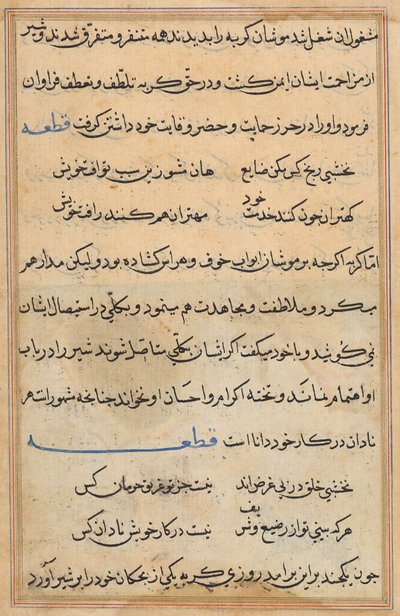 Pagina uit Verhalen van een Papegaai (Tuti-nama): tekstpagina door Unknown artist