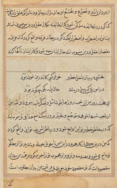 Pagina uit Verhalen van een Papegaai (Tuti-nama): tekstpagina door Unknown artist
