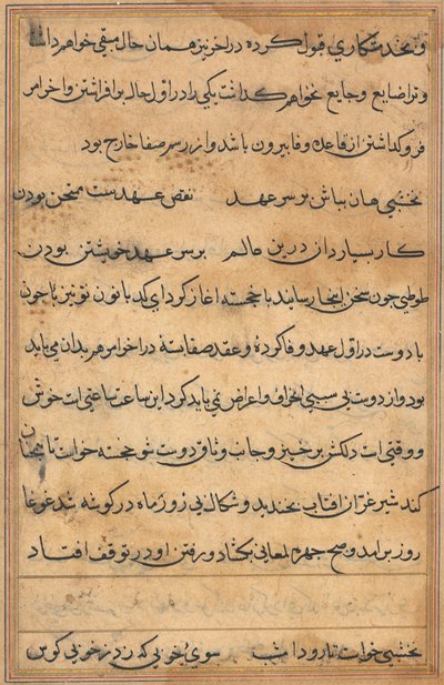 Pagina uit Verhalen van een Papegaai (Tuti-nama): tekstpagina door Unknown artist