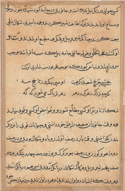 Pagina uit Verhalen van een Papegaai (Tuti-nama): tekstpagina door Unknown artist