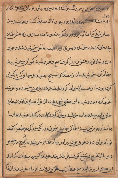 Pagina uit Verhalen van een Papegaai (Tuti-nama): tekstpagina door Unknown artist