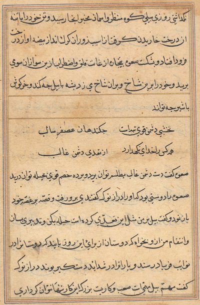 Pagina uit Verhalen van een Papegaai (Tuti-nama): tekstpagina door Unknown artist