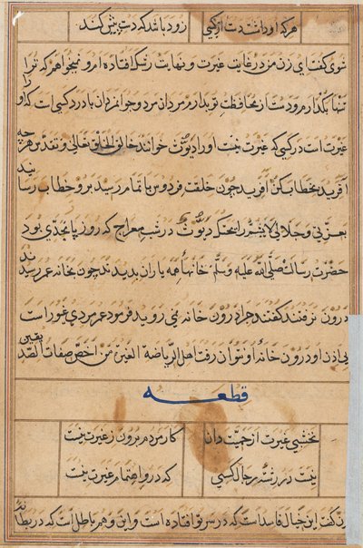 Pagina uit Verhalen van een Papegaai (Tuti-nama): tekstpagina door Unknown artist