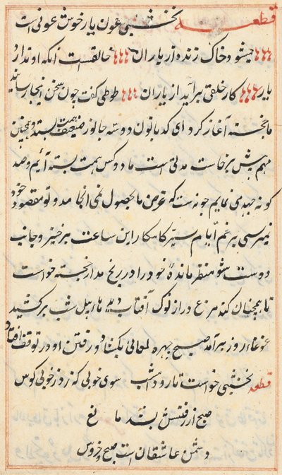 Pagina uit Verhalen van een Papegaai (Tuti-nama): tekstpagina door Unknown artist