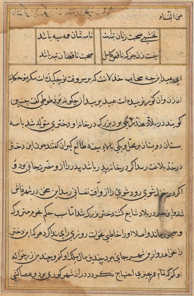 Pagina uit Verhalen van een Papegaai (Tuti-nama): tekstpagina door Unknown artist
