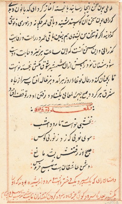 Pagina uit Verhalen van een Papegaai (Tuti-nama): tekstpagina door Unknown artist